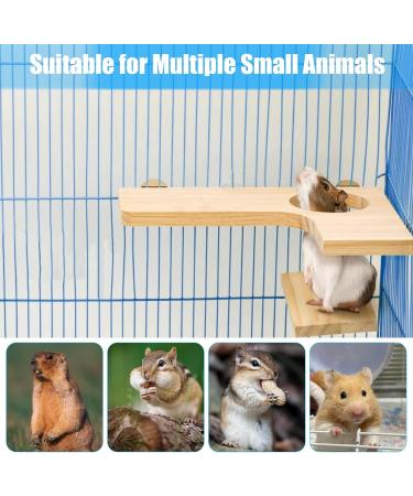 Shop Wangdu 5-Piece Hamster Accessories Set - Natural Wood Toys for Hamsters Guinea Pigs & Mice | DIY Cage Decor & Bird Seating Platform - Buy Online on GoSupps.com