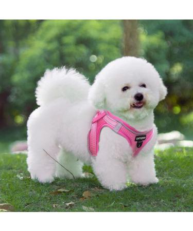 Buy Medium Rose Padded Dog Harness for Small Dogs - Comfortable Puppy Harness for Ultimate Control - Buy Online on GoSupps.com