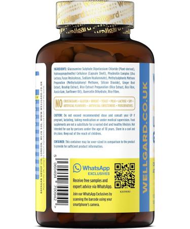Vegan Glucosamine Phytodroitin by Wellgard - Plant-Based Joint Support Supplement with Quercetin, MSM, and Ginger Extract - Made in UK - Buy Online on GoSupps.com