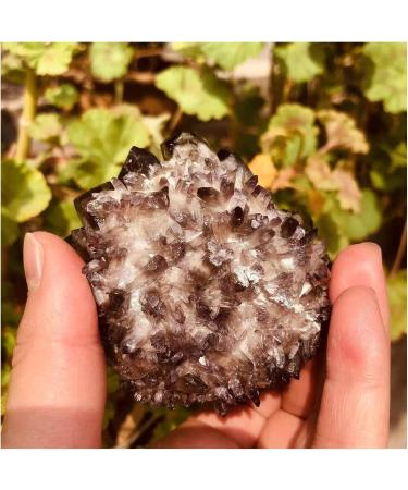 Bulk Rough Natural Black Smoky Quartz Crystal Cluster for Reiki Rock Crafts 250G-650G Crystal Cluster (Color : 450G-550G) - Buy Online on GoSupps.com