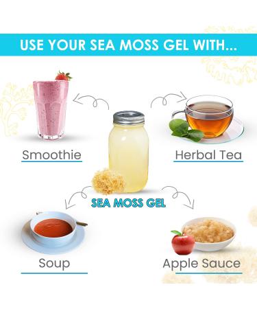Organic Raw Irish Sea Moss | Dr Sebi Inspired | Enriched with Minerals & Nutrients | 8 oz - Make 120+ oz Sea Moss Gel | Gold Sea Moss (1 Pack) - Buy Online on GoSupps.com