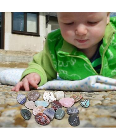 VENTDOUCE Roche Mineral Collection Learning Set of 18 Rough Natural Sciences Geology Set for Girls and Boys Calendar - Buy Online on GoSupps.com