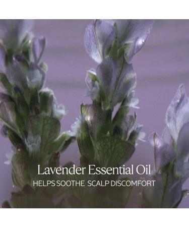 L'Occitane Gentle & Balance Conditioner Refill 16.90 fl. oz - Nourishing & Hydrating Hair Care - Shop Internationally - Buy Online on GoSupps.com