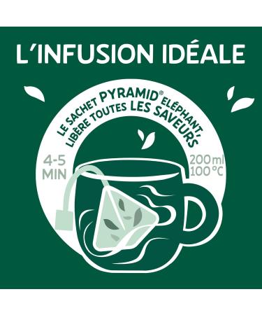 Elephant Flavored Infusion Grapefruit Mandarin & Lemon Taste Rainforest Alliance Certified 100% Natural Origin Ingredient - Buy Online on GoSupps.com