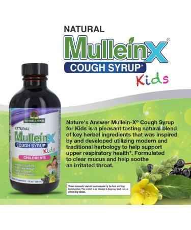 Nature's Answer Mullein-X Kids Cough Syrup 4oz | Soothes Coughs Clears Mucus & Supports Respiratory Health | Non-GMO Gluten-Free Natural Honey Flavor - Buy Online on GoSupps.com