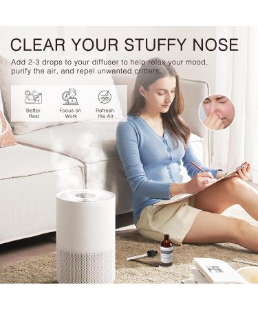 Clove Essential Oil and Rosemary Essential Oil for Aromatherapy Diffusers Candle Soap Making - Buy Online on GoSupps.com