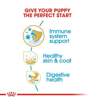 Royal Canin Golden Retriever Puppy Dry Mix 12 kg - Buy Online on GoSupps.com