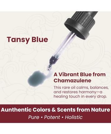 Anti Aging Facial Serum Plant-Based Retinol & Peptide Alternative Brightening Anti-Wrinkle Oil for Women Lightweight Hydrating Facial Oil with A ai Passionfruit and Pomegranate - 0.50oz - Buy Online on GoSupps.com