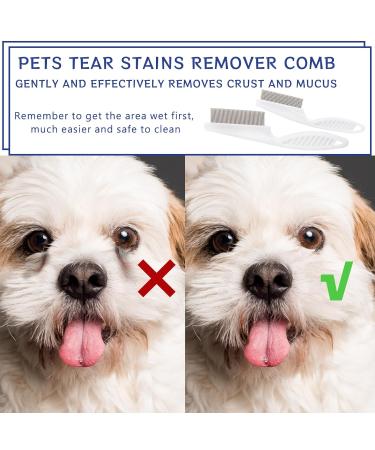Blmhtwo 2-Piece Flea Comb for Cats & Dogs - Professional Fine-Toothed Pet Care Comb for Flea Tick and Stain Removal - Buy Online on GoSupps.com