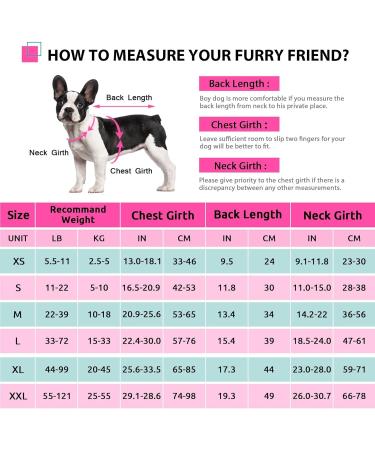 Cit toile Dog Life Jacket - Lightweight & Safe Swimming Vest for Small Medium & Large Dogs - Denim Blue & Pink - Reflective Handle for Water Sports - Buy Online on GoSupps.com