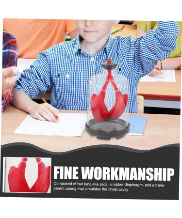 Healifty Lung Breathing Model - Sports & Work Teaching Aid | Plastic & Rubber - Buy Online on GoSupps.com