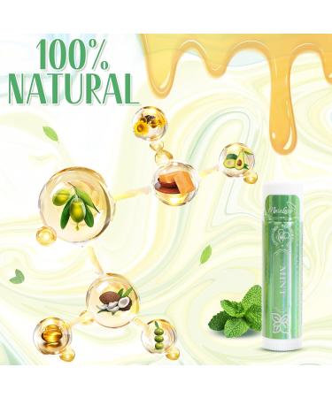 28 Pack Natural Lip Balm Bulk - Vitamin E & Coconut Oil 14 Flavors Moisturizing & Soothing Chapped Lips - Perfect Lip Care Gift Set - Buy Online on GoSupps.com