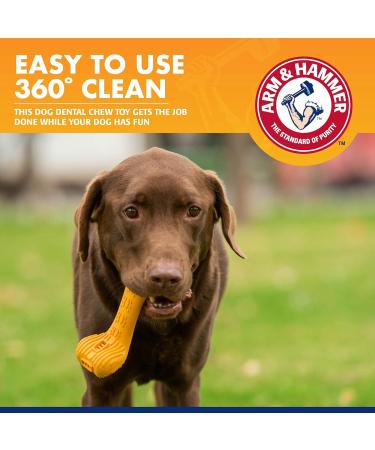 Arm & Hammer Tartar Control EZ Clean Beef Flavor Toothpaste Bone Large - Buy Online on GoSupps.com