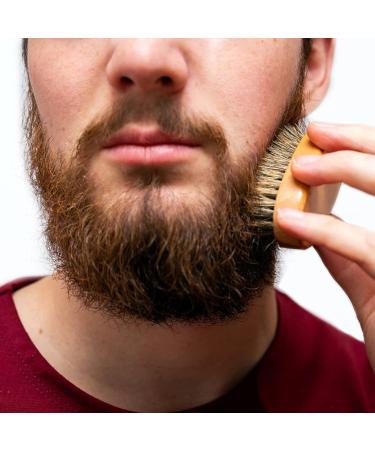 3pc Beard Comb Brush Set with Natural Boar Bristle and Wood Combs - Men's Grooming Kit with Velvet Travel Pouch - Buy Online on GoSupps.com