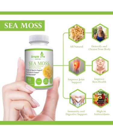 Simple Life Nutrition Organic Irish Sea Moss Capsules 1400MG - Advanced with Burdock Root Bladderwrack & Black Pepper - Immune System Gut & Thyroid Cleanser Sea Moss Gel Powder Supplement - 60CT - Buy Online on GoSupps.com