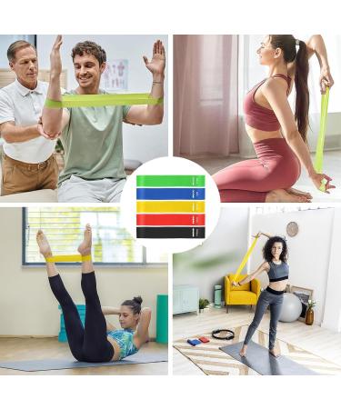 Exercise Bands Resistance Bands for Exercise Set of 5 Elastic Workout Bands for Exercise Training Stretch Training Fitness Pilates Physical Therapy Rehab Yoga with Resistance Bands Carrying Bag - Buy Online on GoSupps.com