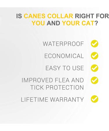 Sobaken Flea Collar for Cats - Natural Tick and Flea Prevention - One Size Fits All - 13 inch - 8 Month Protection | 1 Pack - Buy Online on GoSupps.com