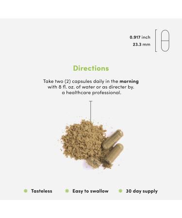 Vital Peak Brain Peak - Brain Supplements for Memory and Focus - Supports Brain Health - with Niacin GABA Alpha GPC L-Tyrosine Bacopa Monnieri - Vegan Gluten Free Dairy Free - 60 Capsules - Buy Online on GoSupps.com