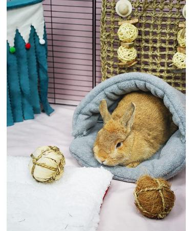 HzNzYHD 2 PCS Guinea Pig Bed Set with Cage Mat Soft Warm Hamster Bed Cave Nest Cushion for Small Animal Chinchilla Hedgehog Ferret Bunny gray - Buy Online on GoSupps.com