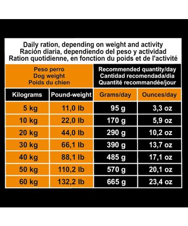 ARQUIVET Original Adult - Croquettes for adult dogs chicken and rice 3 Kg - dog food - dry dog food - all breeds - natural ingredients - Buy Online on GoSupps.com