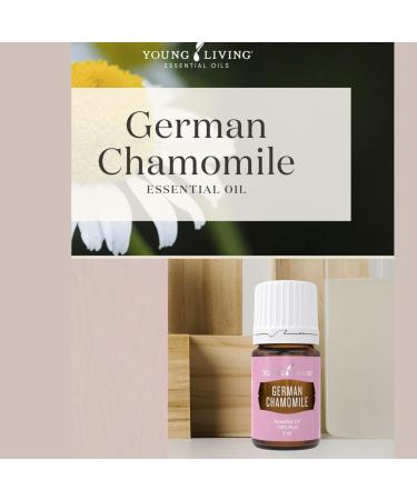 German Chamomile 5ml by Young Living - Your Natural Relaxation Essential Oils Tranquility Skin Care Benefits - Aromatherapy Diffuser for Meditation - Ideal for Massage - Buy Online on GoSupps.com