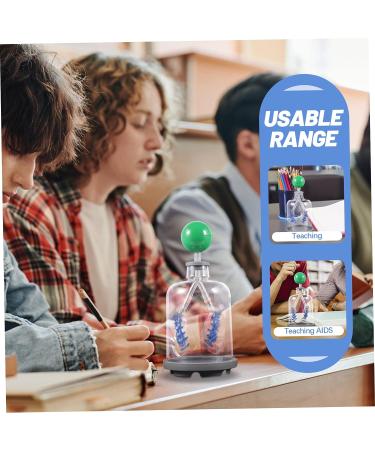 SOLUSTRE Lung Breathing Model - Human Body Organs Teaching Aid - Buy Online on GoSupps.com