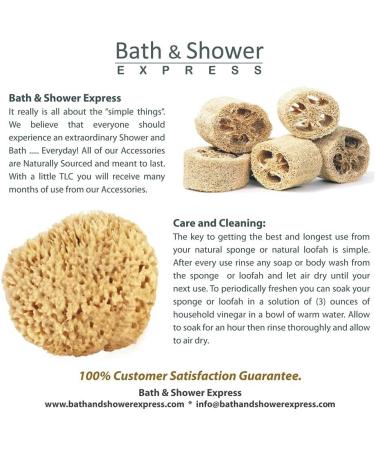 Medium Sea Wool Sponge 4-5 inches - Bath & Shower Express - Natural Renewable Resource - Buy Online on GoSupps.com