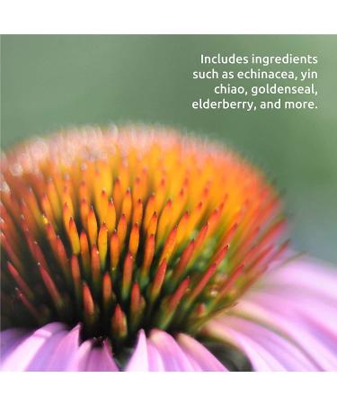 Source Naturals Wellness Herbal Throat Spray 2 fl oz | Natural Throat Relief - Buy Online on GoSupps.com