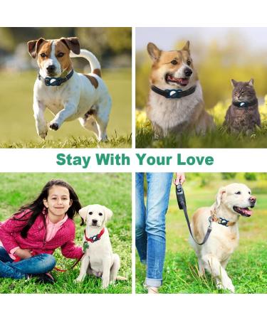 Ainiv Pet Protective Case for Apple Airtag GPS Finder Silicone Airtag Dog Cat Collar Holder Pet Loop Holder Safety and Anti-lost Air Tag Tracker Case for Apple Locator Tracker Blue - Buy Online on GoSupps.com