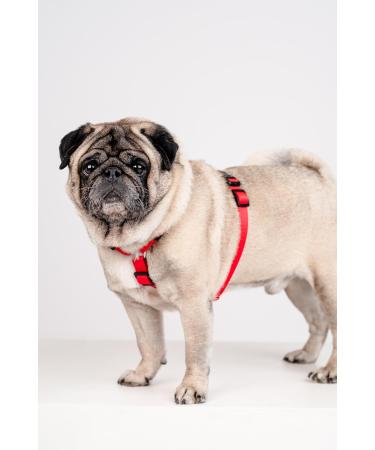 Chaba Guard Dog Harness for Small Dogs - Anti-Zug & Choking Relief Adjustable & Lightweight Perfect for Running - Classic Red - Buy Online on GoSupps.com