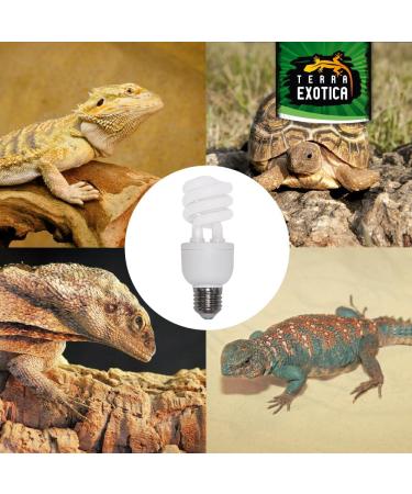 Terra Exotica Compact Mini UVB 13W Full Spectrum Daylight Lamp - Desert 10.0 5.0 & 2.0 UVB Options for Your Terrarium - Buy Online on GoSupps.com