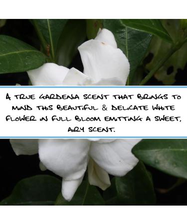 Bluebyrd Soap Co. Gardenia Bar Soap - Vegan Organic Cold Processed | Moisturizing Gentle Cleansing for Sensitive Skin | Creamy Lather - Buy Online on GoSupps.com