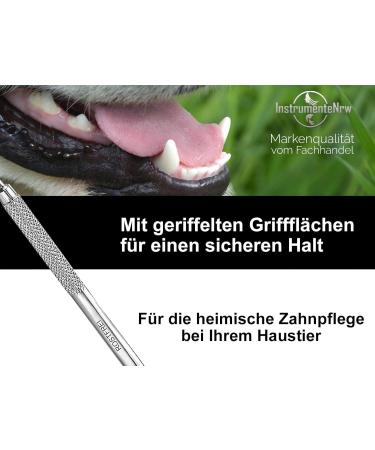 Tartar Remover for Dogs - Stainless Steel Tooth Cleaner & Scaler for Pets | Kausnack Alternative - Buy Online on GoSupps.com