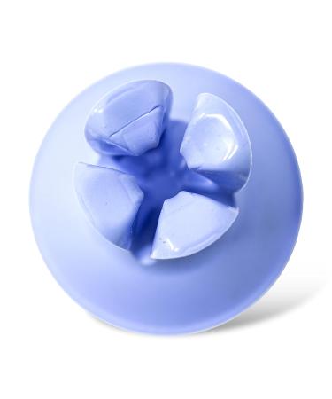 RADIUS DOC Toothbrush/Razor Holder - Assorted Colors, 100% Recyclable & BPA Free - Blue - Buy Online on GoSupps.com