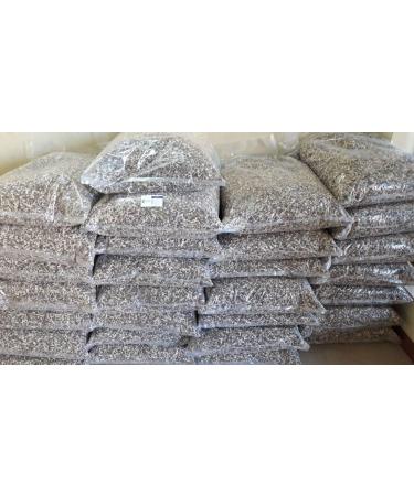 Yogi's Gift - Moringa Oleifera Seeds 10 oz Approx 1000 Seeds | Viable for Germination | Non-GMO | Graines de Moringa - Buy Online on GoSupps.com