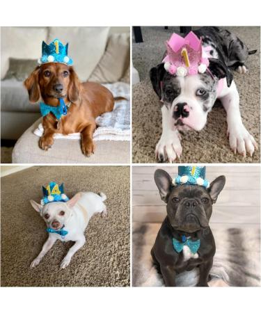 Dog Cat Birthday Hat Crown with Bowtie & Charms, Party Accessories for Small Medium Pets (PINK) - Buy Online on GoSupps.com