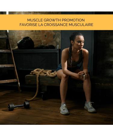 DIOA Fitness Creatine Monohydrate 500g - Unflavored - Enhances performance and strength supports muscle growth - 100 servings for sustained workout benefits. - Buy Online on GoSupps.com