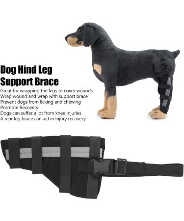 Dog Hind Leg Brace Stable Support Knee Pads Puppy Rear Leg Protector Dog Rear Leg Hock Brace Dog Leg Joint Wraps Dog Hind Leg Brace for Sprain Leg Wounds Care (M) - Buy Online on GoSupps.com