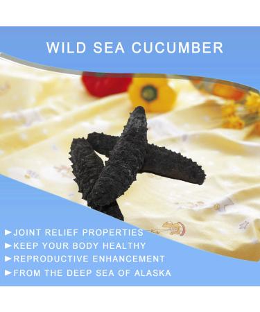 DOL Wild Caught Sun Dried Atlantic Black Pin Sea Cucumber 8oz - All Natural Nutritious, Large Size - 1 Count - Buy Online on GoSupps.com
