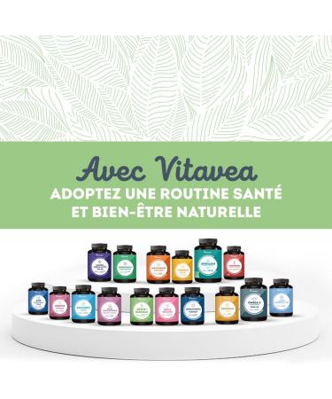 Global Detox - Liver Slimming Digestive Health Healthy Skin - Milk Thistle Artichoke Burdock - 7 Natural Active Ingredients - 90 Capsules - 3 Months - Vegan - Made in France Vitavea - Buy Online on GoSupps.com