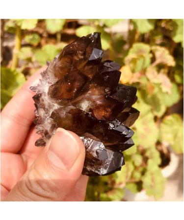 Bulk Rough Natural Black Smoky Quartz Crystal Cluster for Reiki Rock Crafts 250G-650G Crystal Cluster (Color : 450G-550G) - Buy Online on GoSupps.com