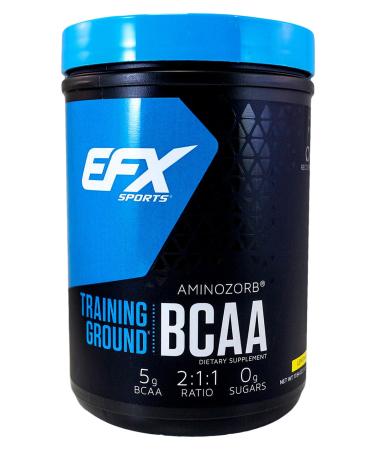 EFX Sports Training Ground BCAA | Fully Stable Highly Soluble Amino Acids Supplement | Pre Intra or Post Workout | Sugar Free | 500 Grams (Strawberry Peach) - Buy Online on GoSupps.com
