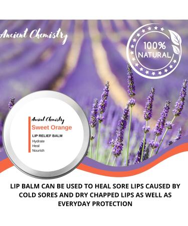 AC LABORATORIES LIMITED 100 natural lip balm natural treatment to prevent cold sores moisturizing lip balm only natural ingredients lip balm lip repair - Buy Online on GoSupps.com