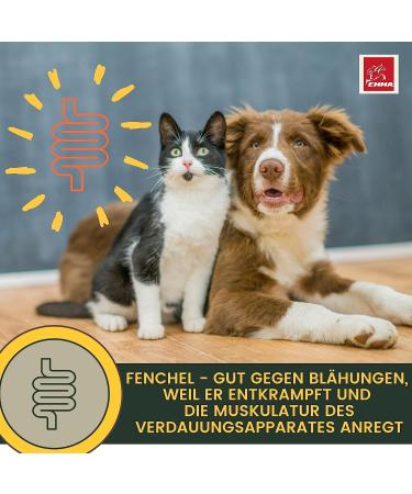 Intestinal Cure Cat Active Herbs Drops I First Aid Digestion - Gastrointestinal Intestinal Flora I Restorative Food - Diarrhea Flatulence I Intestinal Sanitation 30ml - Buy Online on GoSupps.com