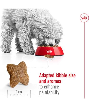 Royal Canin Mini Adult Dog Food 0.8 kg Variety 800 g (Pack of 1) - Buy Online on GoSupps.com