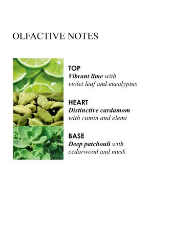 Molton Brown Lime & Patchouli Hand Wash - 10 Fl Oz (Pack of 1) - Buy Online on GoSupps.com