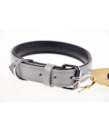 XXL Leather Sniffing Fans Collar for Dogs - Padded Robust & Stylish (55-65cm Gray) - Perfect for Large Medium & Small Breeds - Buy Online on GoSupps.com