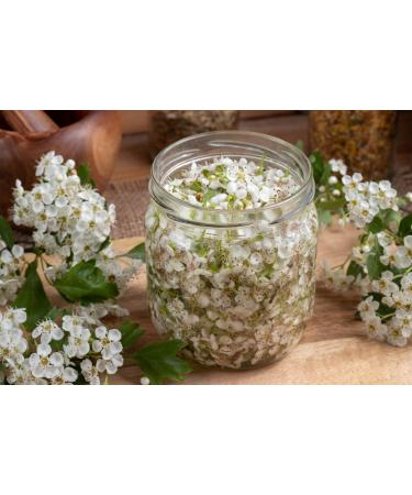 Health Embassy Hawthorn Flower Tea (Crataegus L.) - 50g | Premium Herbal Tea for Heart Health | International Shipping Available - Buy Online on GoSupps.com