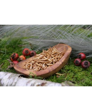 Anhaltiner Mealworms 500g - Protein-Rich Dried Snack for Wild Birds | Premium Bird Food Supplement - Buy Online on GoSupps.com