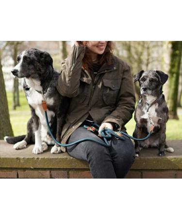 Leitengr n Adjustable Dog Leash for Big Dogs | 3M Long 2 Carabiners | Lightweight Devon Model in Tamed Blue - Buy Online on GoSupps.com